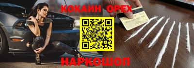 крисы Новодвинск