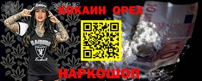 гидропоника Новозыбков