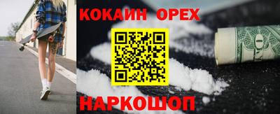 крисы Новодвинск