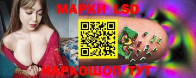 гидропоника Новозыбков