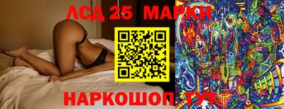 гидропоника Новозыбков