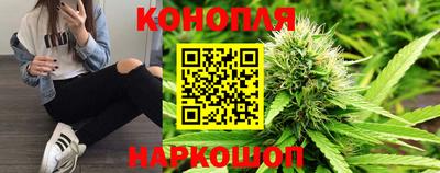 крисы Новодвинск