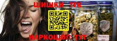 крисы Новодвинск