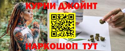 крисы Новодвинск