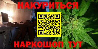 крисы Новодвинск