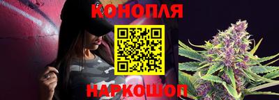 крисы Новодвинск