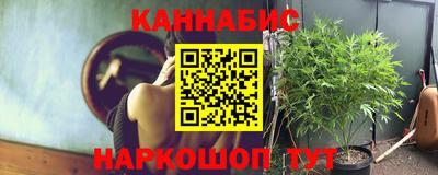 гидропоника Новозыбков