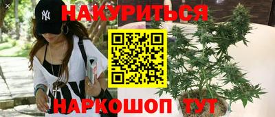 крисы Новодвинск