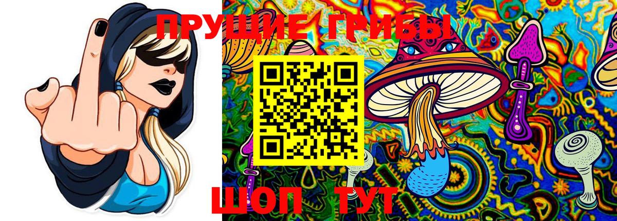Псилоцибиновые грибы ЛСД  Вход с VPN  Строитель 
