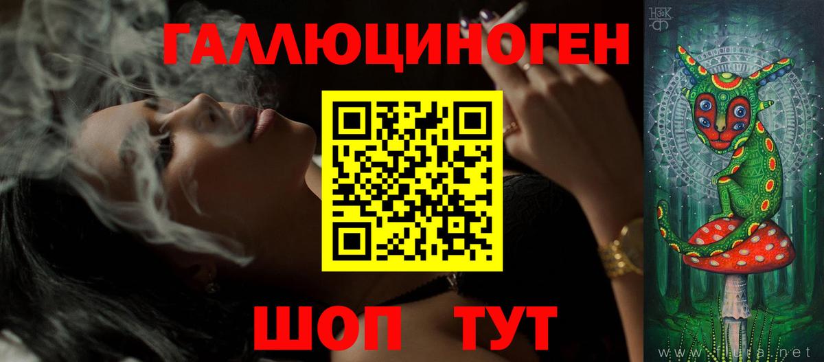 Псилоцибиновые грибы Cubensis Строитель